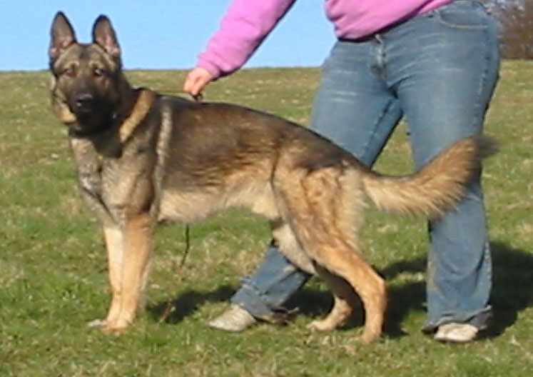Barry